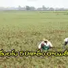 ఏపీలో రైతులకు గుడ్‌న్యూస్.. ఏకంగా 50శాతం రాయితీ, మరో రూ.9వేలు కూడా ఇస్తారు
