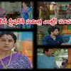 Telugu TV: Latest Telugu TV Shows, TV Celebrities, Telugu TV Serials