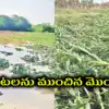 ఏపీలో రైతులకు అలర్ట్.. వీలైనంత త్వరగా ఇలా చేయండి.. వ్యయసాయ శాఖ కీలక సూచనలు