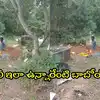 శ్మశానంలో సిగ్గు లేకుండా ఇదేం పాడుపని.. పట్ట పగలే ఎవరైనా చూస్తారనే భయం లేకుండా