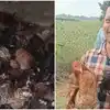 రోడ్డు పక్కన వేల సంఖ్యలో నాటు కోళ్లు.. అందిన కాడికి పట్టుకెళ్లిన జనాలు