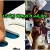 15 ఏళ్లుగా నిరీక్షణ.. ఎట్టకేలకు ఏపీలో ఆ ఎన్నికల నిర్వహణకు రంగం సిద్ధం
