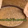 ఆ ప్రాంతంలో బంగారం ఉందంటున్న స్థానికులు.. మట్టిలో నుంచి తీసి అమ్మేస్తున్నారు