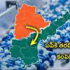 ఏపీ మాస్టర్ ప్లాన్.. తెలంగాణ సరిహద్దులకు చేరువగా కొత్త ఫార్మా హబ్.. క్యూ కడుతున్న కంపెనీలు..!
