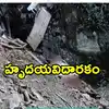 ట్రక్కు లోయలో పడి 21 మంది కూలీలు మృతి.. 3 రోజుల తర్వాత వెలుగులోకి