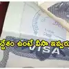 భారతీయ టూరిస్ట్‌లకు అమెరికా షాక్.. ఆ ఉద్దేశంతో దరఖాస్తు చేస్తే వీసా రాదు!