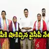 ఏపీలో టీడీపీకి బిగ్ షాక్.. మళ్లీ సొంత గూటికి ఐదుగురు వైసీపీ నేతలు