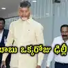 ఢిల్లీకి సీఎం చంద్రబాబు.. ఒక్కరోజే ఏకంగా ఆరుగురు కేంద్రమంత్రులతో భేటీలు