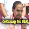 KCR Press Meet: చంద్రబాబుపై కేసీఆర్ సంచలన వ్యాఖ్యలు.. వంట మనుషులతో ఒప్పందాలంటూ..