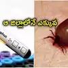 ఏపీని భయపెడుతున్న స్క్రబ్ టైఫస్.. 2 వేలకు పైగా పాజిటివ్ కేసులు.. ఎక్కువగా ఆ జిల్లాలోనే