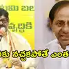 కేసీఆర్‌ గుర్తిస్తే ఎంత? గుర్తించకుంటే ఎంత? చంద్రబాబుపై వ్యాఖ్యలకు ఏపీ మంత్రి కౌంటర్