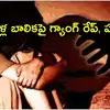 6 ఏళ్ల బాలికపై గ్యాంగ్ రేప్.. ఆపై బిల్డింగ్‌ మీది నుంచి తోసేసి హత్య.. ఇంట్లో అద్దెకు ఉన్నవారి దారుణం