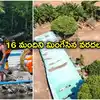 ఆకస్మిక వరదలు.. 16 మంది మృతి.. వందలాది ఇళ్లు ధ్వంసం