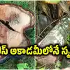 పోలీస్ అకాడమీలోనే స్మగ్లింగ్.. 30 ఏళ్ల నాటి గంధపు చెట్లు మాయం, విలువ రూ.లక్షల్లోనే..!