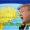 గ్రీన్‌ల్యాండ్‌ను కొనేందుకు ట్రంప్ ప్లాన్: ఒక్కొక్కరికి లక్ష డాలర్లు ఆఫర్
