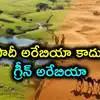 సౌదీ అరేబియా ఎడారి కాదు.. 10వేల సరస్సులు, నదులు.. గ్రీన్ అరేబియా చరిత్ర బయటపెట్టిన శాస్త్రవేత్తలు