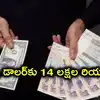 కుప్పకూలిన ఇరాన్ కరెన్సీ.. ఒక్క డాలర్‌కు 14 లక్షల రియాల్స్, రూపాయికి ఎన్ని వేల రియాల్స్ అంటే?