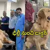 కుక్క ప్రాణాలు కాపాడటానికి ఢిల్లీ నుంచి విశాఖపట్నం విమానంలో వచ్చిన డాక్టర్.. ఇంట్రెస్టింగ్ స్టోరీ