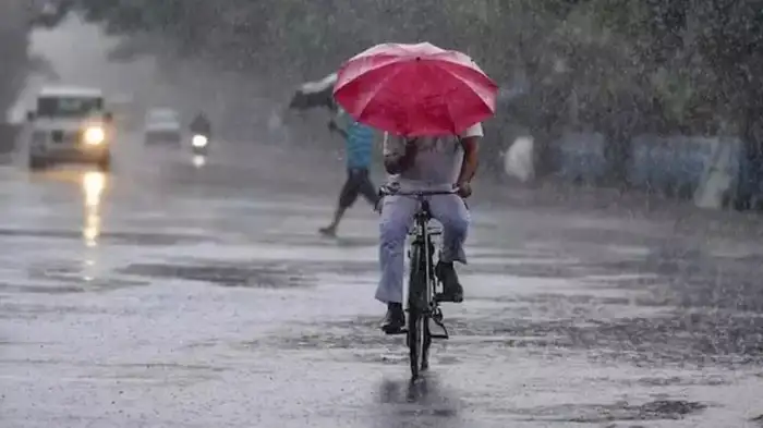 IMD Weather Rain alert for Telangana.. Yellow alert for several districts