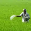 రైతులకు బిగ్ రిలీఫ్.. పుష్కలంగా యూరియా నిల్వలు, ఇక నో టెన్షన్