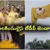 TDP: తలకిందులైన టీడీపీ జెండా.. రివర్స్‌లో ఎగరేసిన తెలుగు తమ్ముళ్లు..