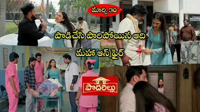 Podarillu Today Podarillu Today