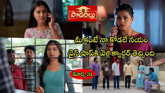 Podarillu Today Podarillu Today