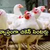 నేటి నుంచి రాష్ట్రంలో చికెన్ షాపులు బంద్.. మాంసం ప్రియులకు బ్యాడ్ న్యూస్