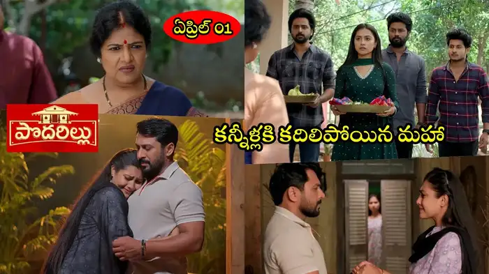 Podarillu Today Podarillu Today