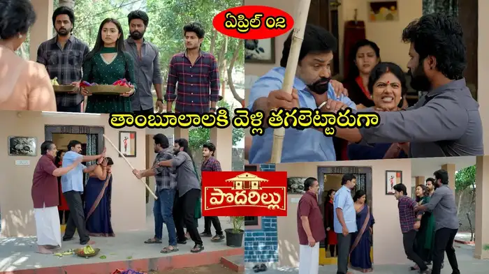 Podarillu Today Podarillu Today