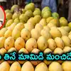 సీజన్ వచ్చేసింది.. కల్తీ మామిడి పండ్లతో తస్మాత్ జాగ్రత్త, ఫోన్ చేయండి: సీపీ సజ్జనార్
