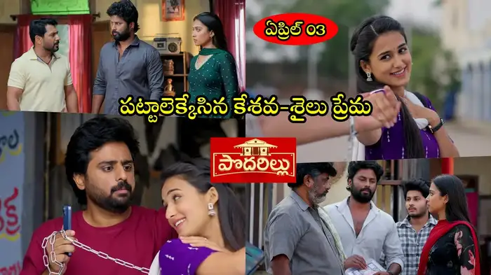 Podarillu Today Podarillu Today