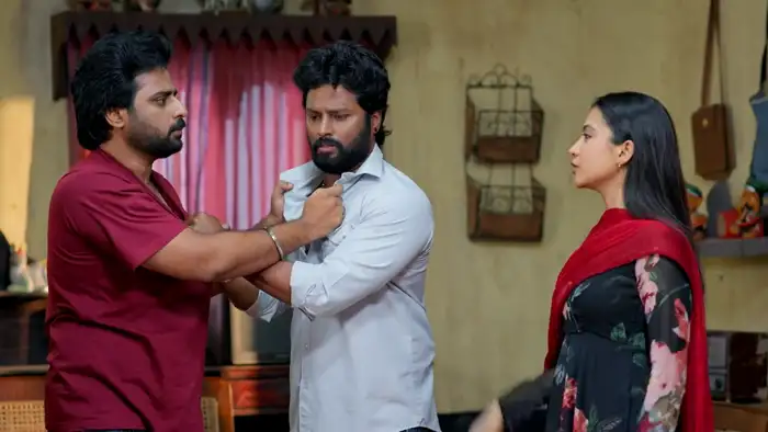 కాలర్ పట్టుకోవడం కాదు కొట్టుకోండి