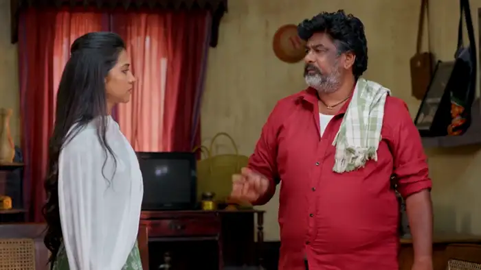 మీ పెద్దరికం కావాలి