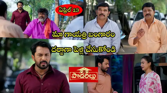 Podarillu Today Podarillu Today