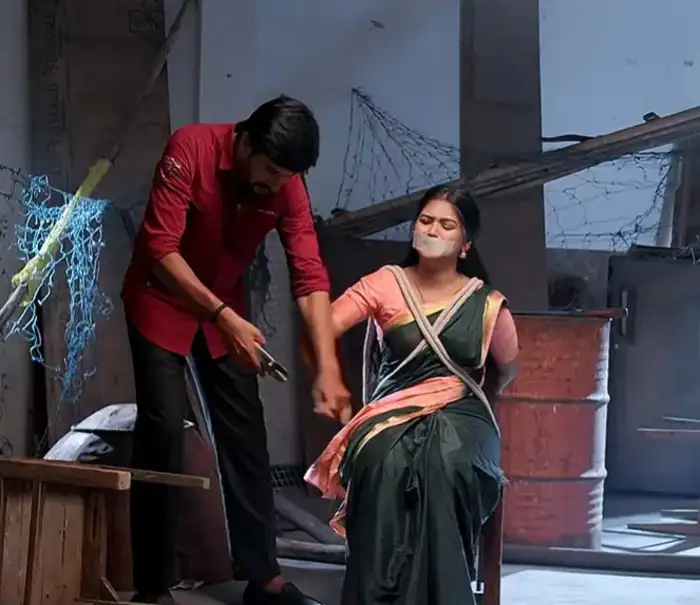 మీనా చేతి వేళ్లు బాలుకి పార్సిల్..