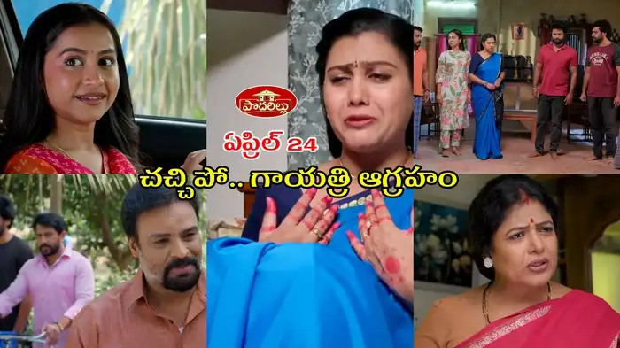 పొదరిల్లు టుడే ఎపిసోడ్ పొదరిల్లు టుడే ఎపిసోడ్