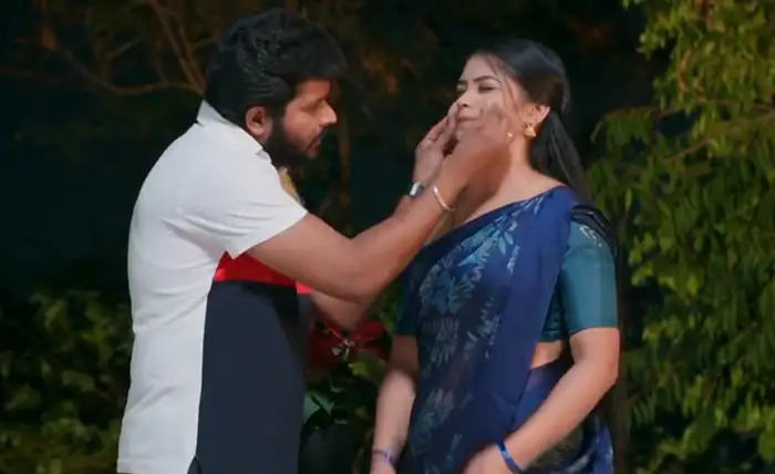 మేడ మీద బాలు, మీనా..