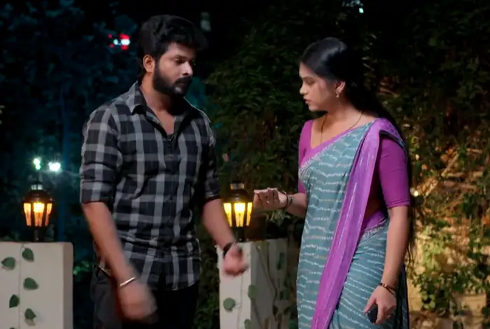 ప్రశ్నించిన మీనా..