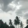 ఆంధ్రప్రదేశ్‌కు చల్లని కబురు.. ఈ 9 జిల్లాల్లో వర్షాలు, అక్కడ మాత్రం ఎండలు తప్పవు