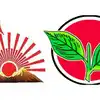 డీఎంకే, అన్నాడీఎంకే మధ్య వైరం ఎందుకు? ఈ రెండు పార్టీలు ఎలా ఏర్పాటు అయ్యాయి?