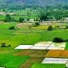 ఏపీలో ఆ భూములపై ఊరట.. ఈ డాక్యుమెంట్లు సమర్పిస్తే రైతు పేరు నమోదు చేస్తారు