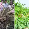 అల్లకల్లోలం సృష్టించిన గాలివాన.. కొబ్బరి చెట్టు కూలి ఇద్దరు మృతి