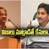 ప్రొఫెసర్ నాగేశ్వర్‌ అన్ని పార్టీలనూ విమర్శిస్తారు: వైఎస్ జగన్