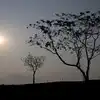 ఏపీలో విభిన్నమైన వాతావరణం.. ఈ జిల్లాల్లో ఎండలతో పాటుగా వర్షాలు