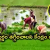 తెలంగాణలో వరి సాగుకు కేంద్రం కళ్లెం.. 5 ఏళ్లలో 25 లక్షల ఎకరాల సాగు విస్తీర్ణం తగ్గించాలని టార్గెట్