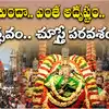 గోవిందా.. ఎంత అదృష్టం.. రథోత్సవం.. చూస్తే పరవశం