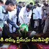 "ఏక్ పేడ్ మా కే నామ్".. తల్లి పేరిట తెల్లపొణికి మొక్క నాటిన పవన్ కళ్యాణ్.. దాని ప్రత్యేకతలు ఇవే..