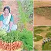 Half Moon Technology: ఆఫ్రికా విధానంతో సాగులో అద్భుతాలు.. ముఖ్యమంత్రినే మెప్పించిన ప్రమీలమ్మ..