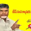 టీడీపీ రాజ్యసభ ఎంపీ అభ్యర్థులు వీళ్లే?.. రెండు పేర్లు ఫైనల్, మూడో స్థానం కోసం ఆ ఇద్దరి పేర్లు పరిశీలన!